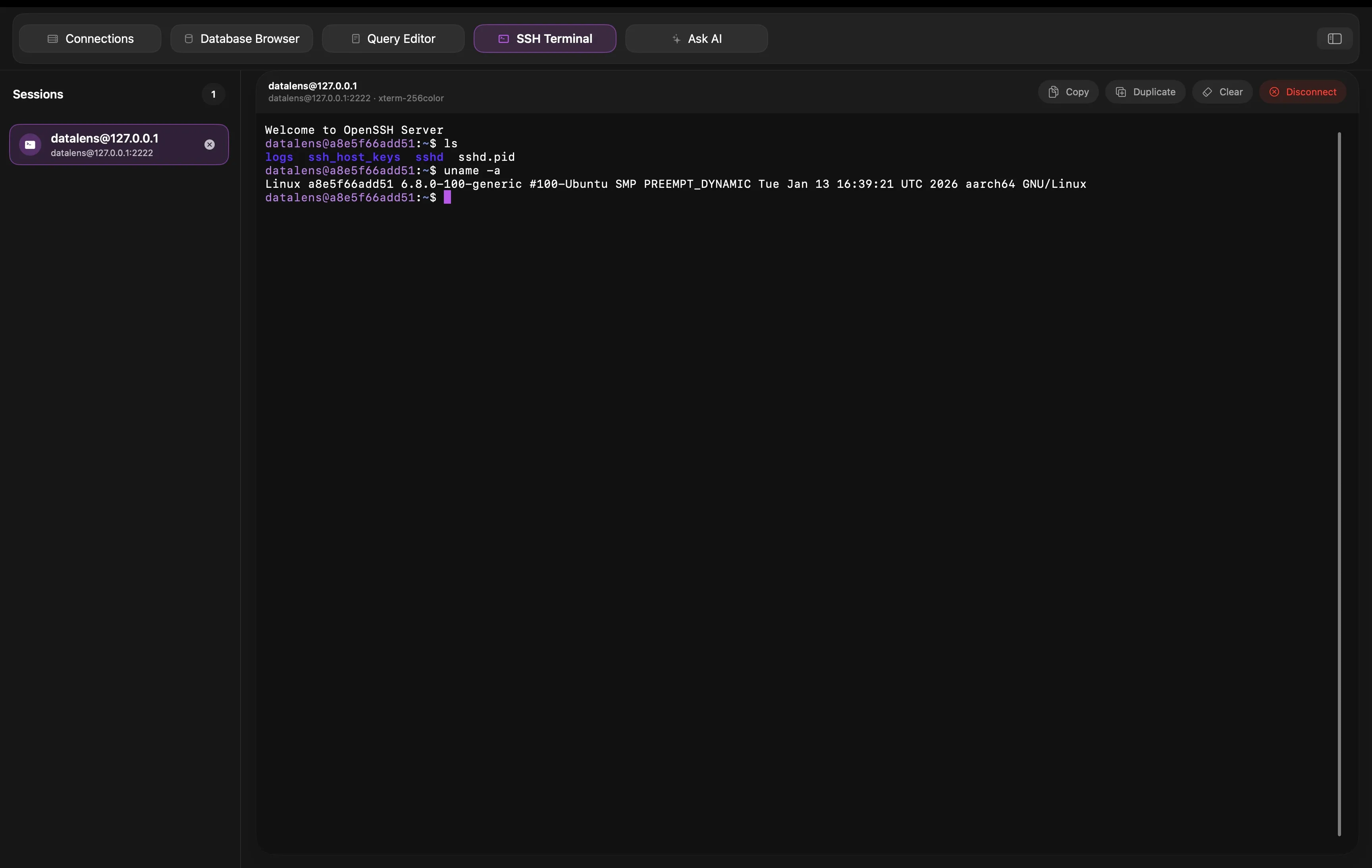 Datark SSH terminal and remote session interface.