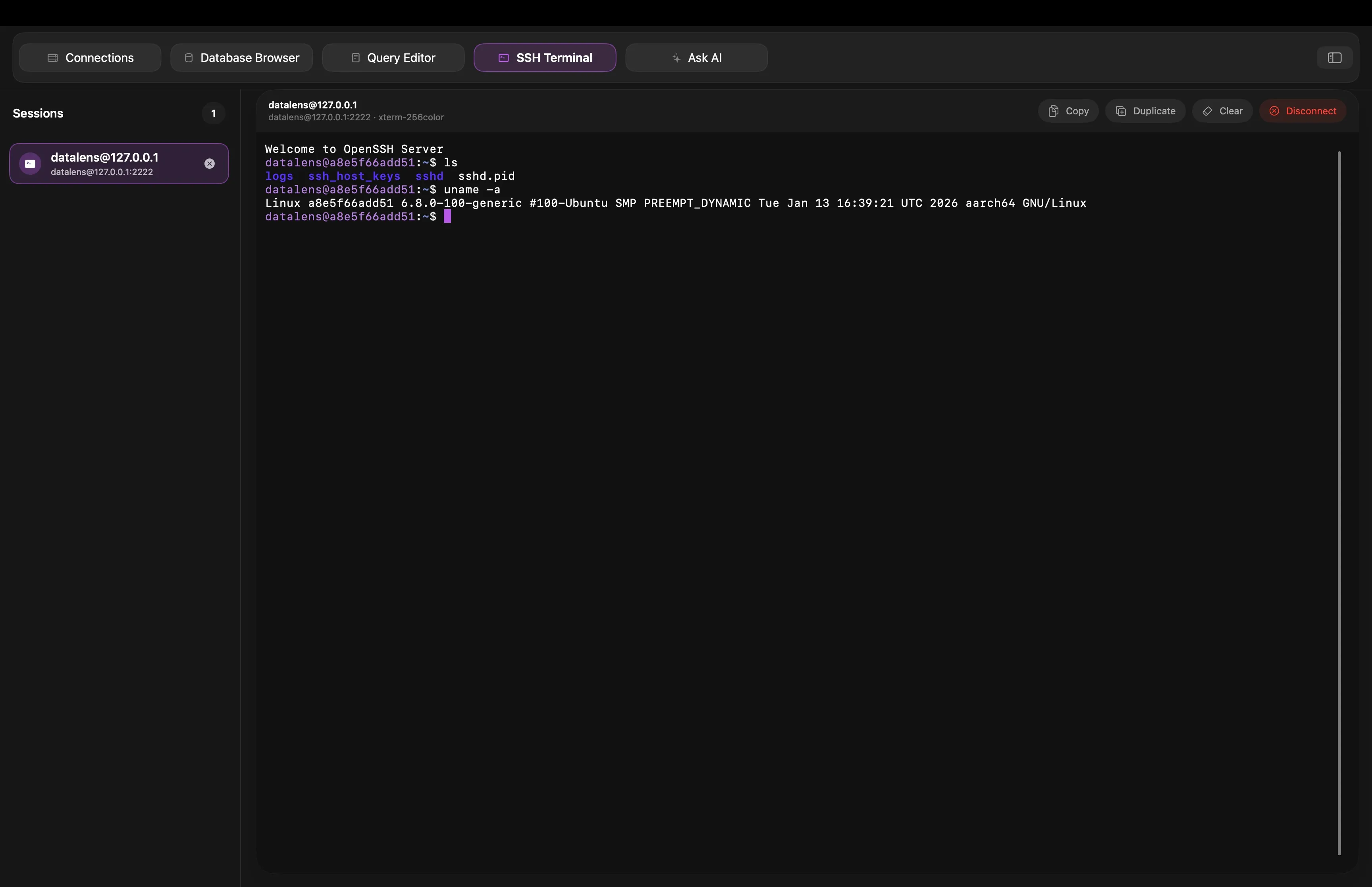 Datark SSH terminal and remote session interface.